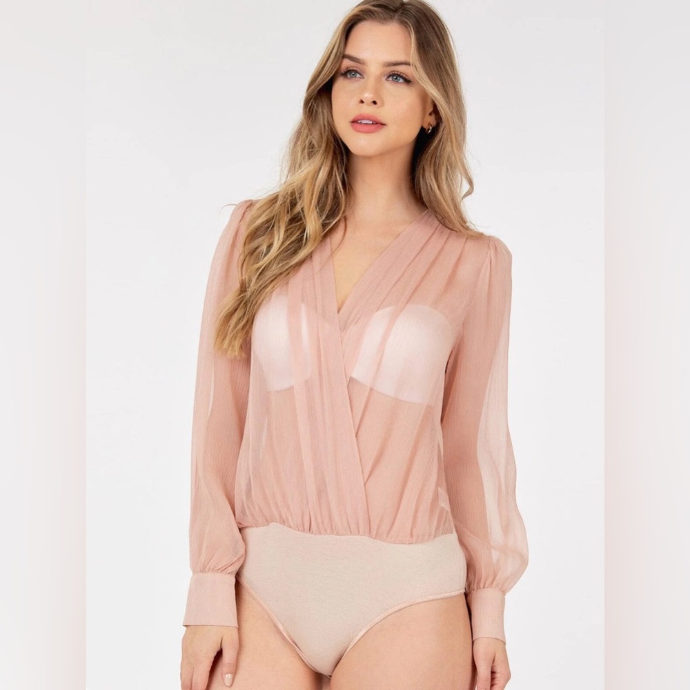 SHEER SEDUCTION SEXY SULTRY V-BODYSUIT COLLECTION
Blush Pink